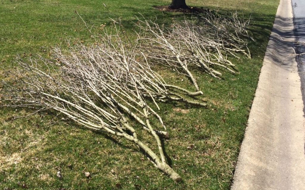 fall-pickup-1024x640